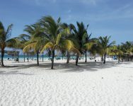 palms_on_the_beach_in_the_resort_of_cayo_coco__cuba_066514_10