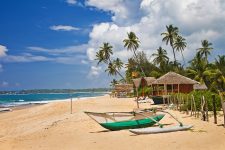 Шри-Ланка упростила правила въезда для вакцинированных туристов