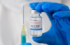 Туристическая компания «Солвекс» расширяет возможности для вакцинации препаратами Pfizer или Johnson&Johnson