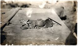 Дисковая граната. Необычная граната Первой мировой войны