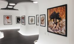 Выставка фонда Still Art в Главном штабе Эрмитажа. 5 историй легендарных фэшн-фотографий - BURO.