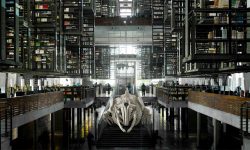 Отзвуки мира в тиши книгохранилищ: как строились библиотеки разных эпох — The Art Newspaper Russia