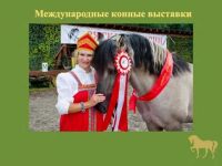 Вятская порода – аборигенные лошади России