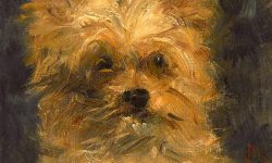 Лучшие друзья Мане: Christie’s продает созданные знаменитым импрессионистом портреты собак — The Art Newspaper Russia